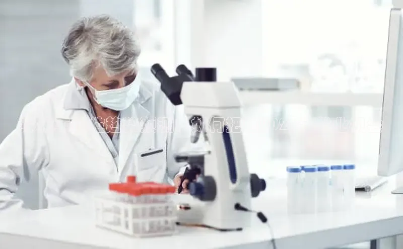 伟的国际1946bv官网