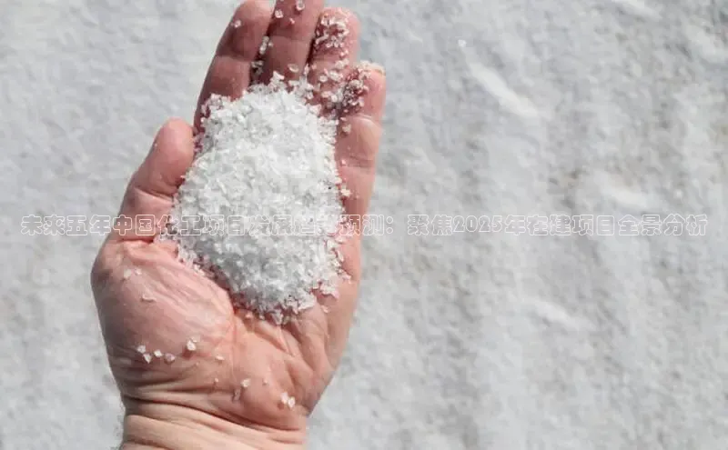 BETVLCTOR登录入口