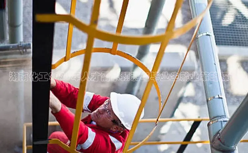 BETVLCTOR登录入口